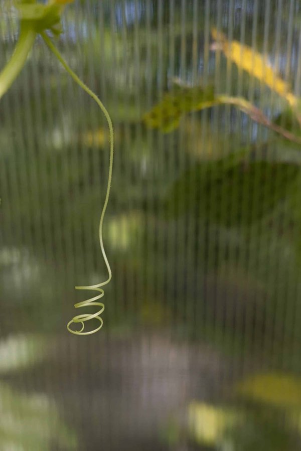 Les livres qui ont inspiré les plus grands films