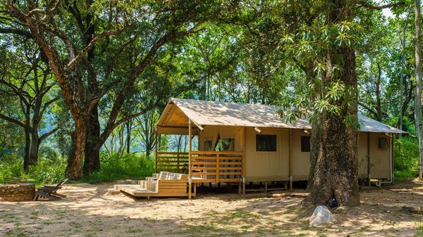 Quels sont les meilleurs campings à Argelès pour des vacances inoubliables ?