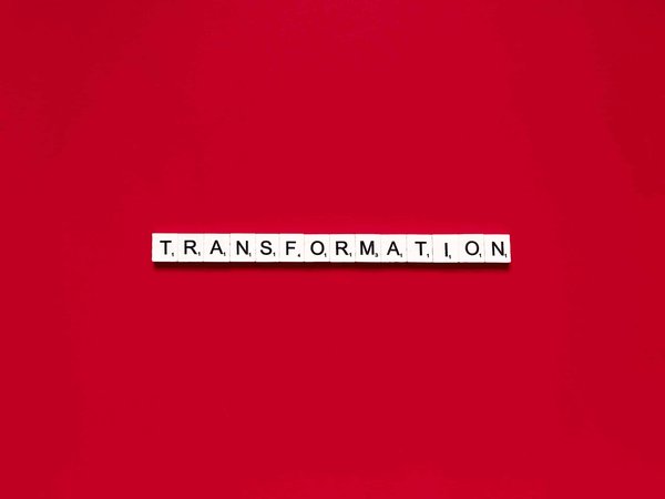 Comment transformer votre balcon en une mini oasis tropicale ?